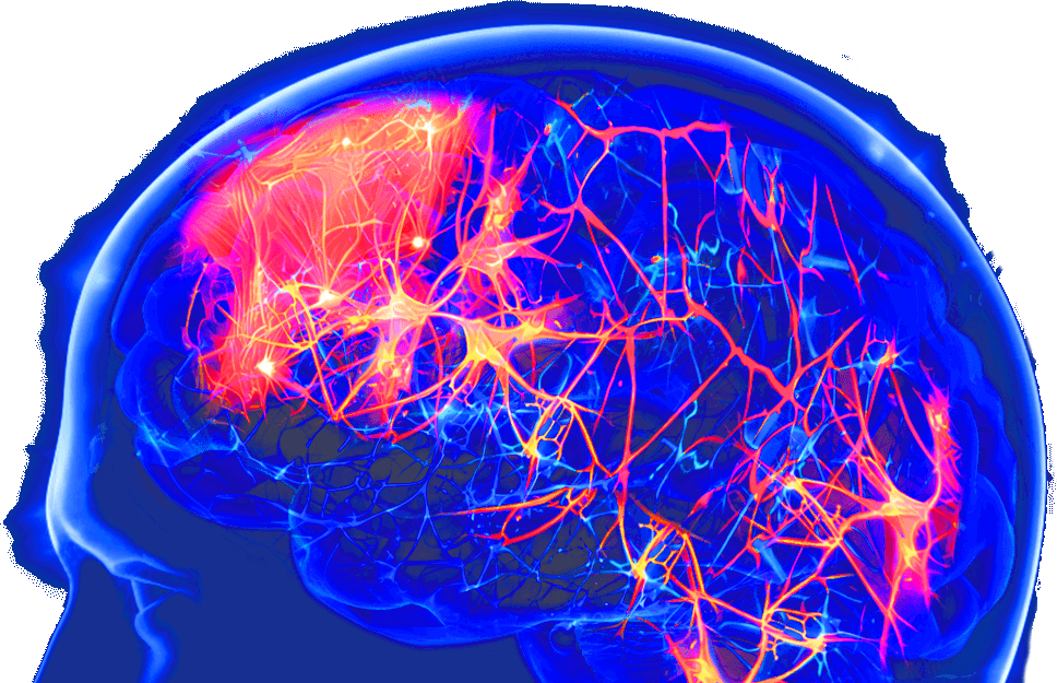 Exomind | Neuro-Luminance Brain Health Center
